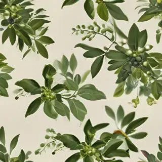 mistletoe png