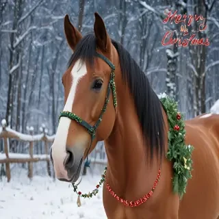 merry christmas horse images