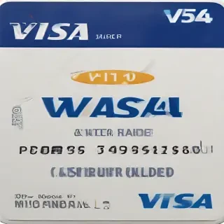 visa logo