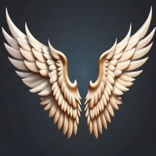 wings transparent background
