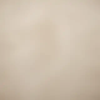 neutral backgrounds