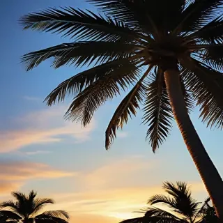 palm tree background