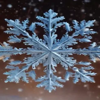snow flake png