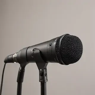 microphone.png