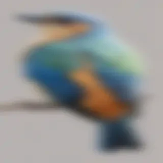 bird transparent