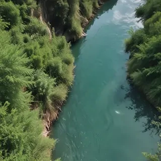 background river