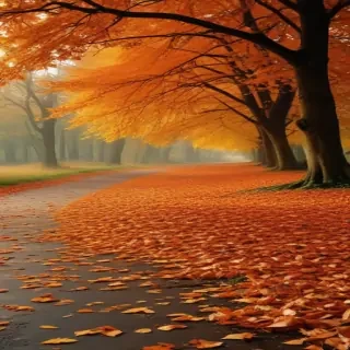 fall wallpaper for iphone