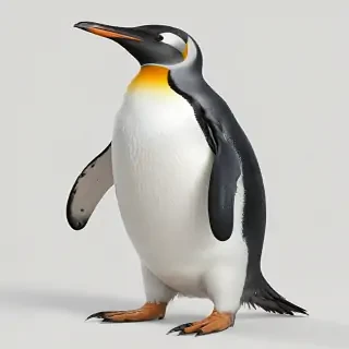 penguin png