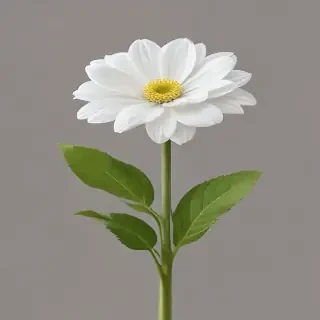 white flower transparent background