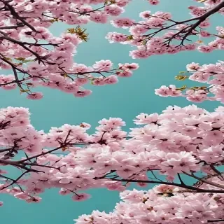 spring desktop wallpaper aesthetic
