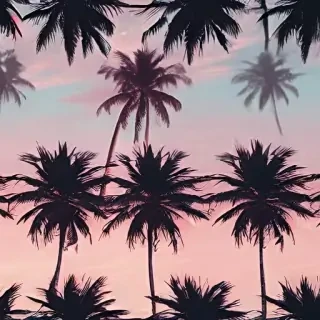 aesthetic palm tree wallpaper