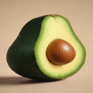 avocado drawing