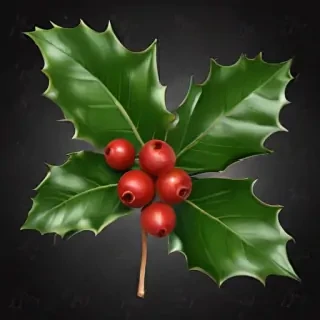 png holly