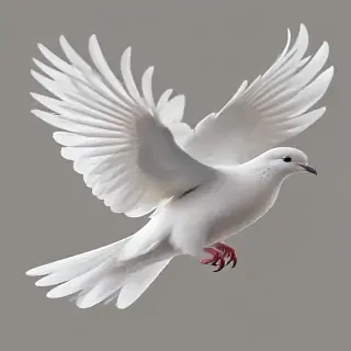 dove png