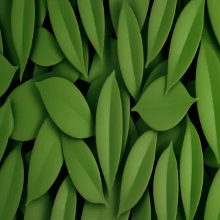 green leaf background
