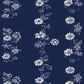 navy blue bg
