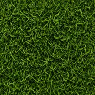 seaweed png