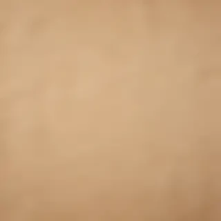 craft paper texture