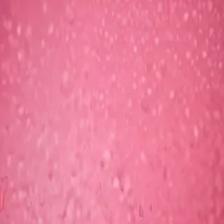valentines background