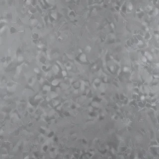 transparent background paper