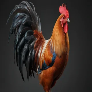 rooster png