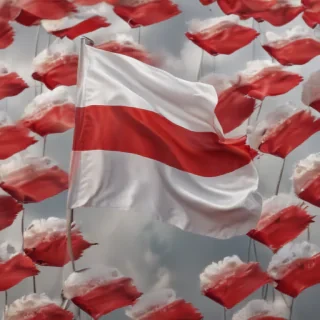 polish flag
