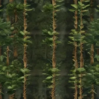 forest transparent background