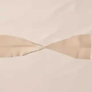 paper torn png
