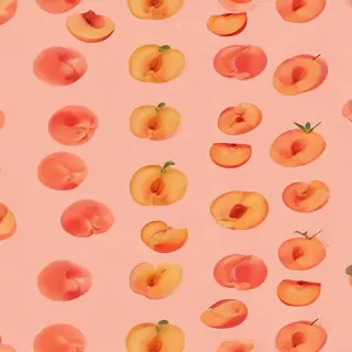 peach color bg