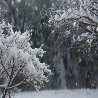 snow falling png