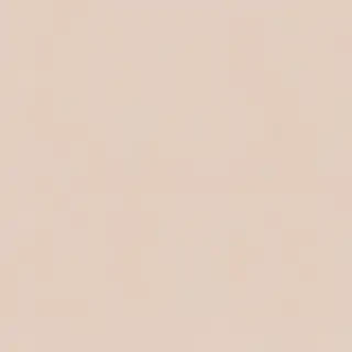 neutral aesthetic background