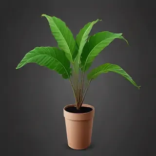 plant png clipart