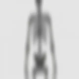 skeleton transparent background