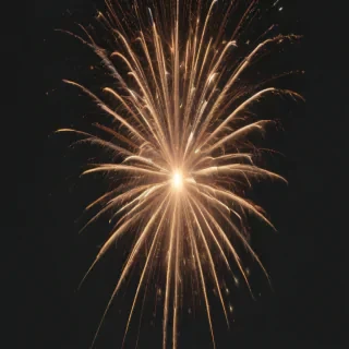 firework png