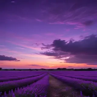 purple sky wallpaper