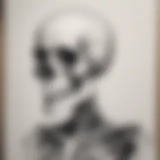 creative skeleton drawings