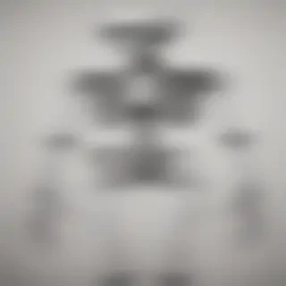 creative skeleton drawings