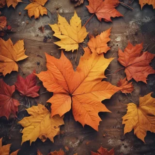 cute fall iphone wallpaper
