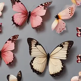 butterfly aesthetic