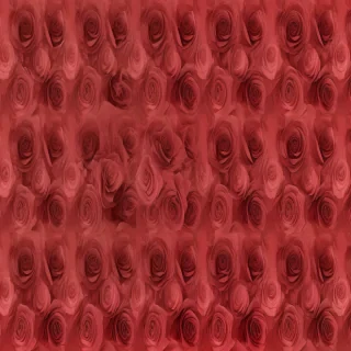rose backgrounds