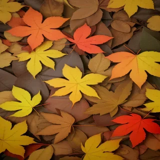 leaves no background