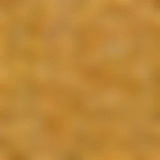 pasta png