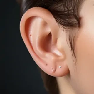 ear png