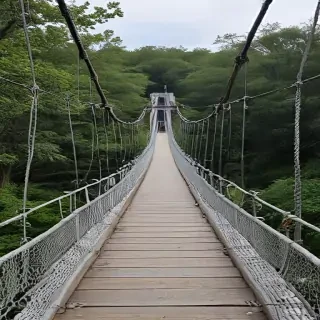 suspension bridge