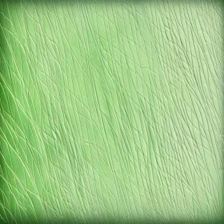 textured green background