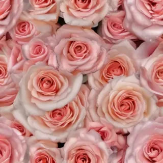 roses background wallpaper
