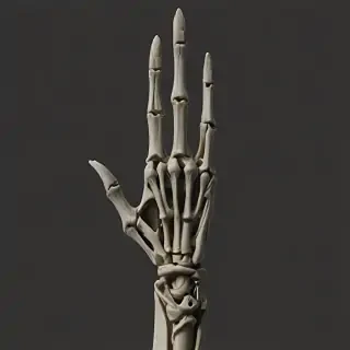 skeleton hand png
