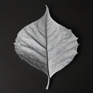 leaf white and black