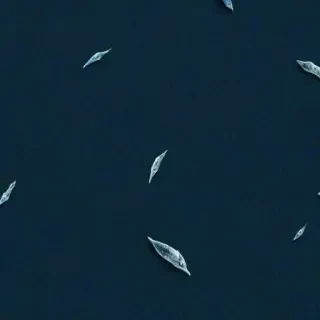 deep ocean wallpaper