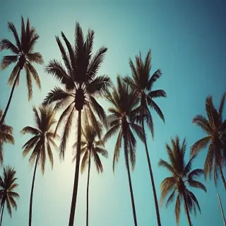 palm trees background